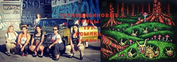 прущие грибы Алексин