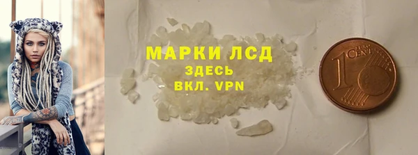 индика Пересвет